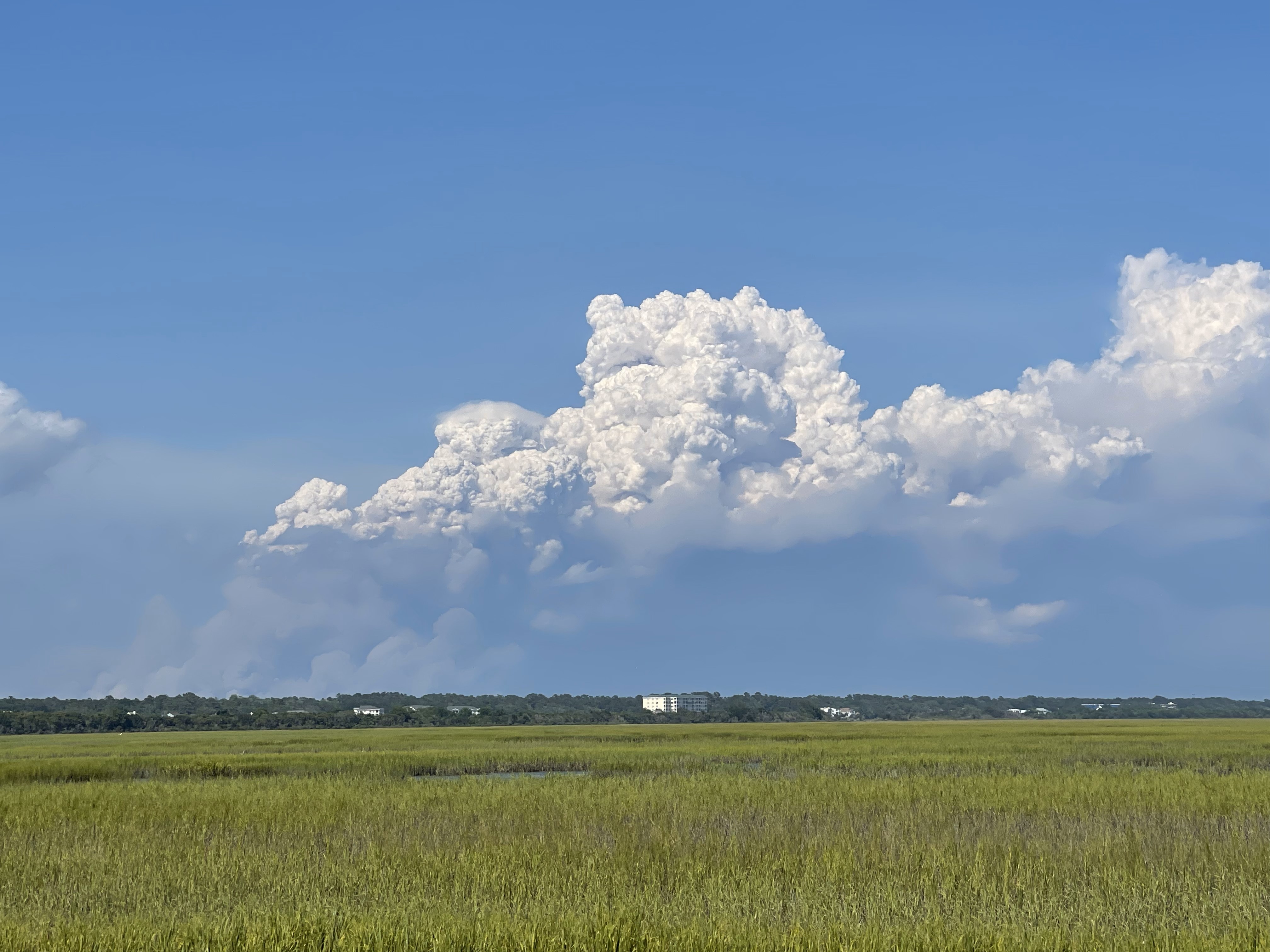 North Carolina Forecast Analysis
