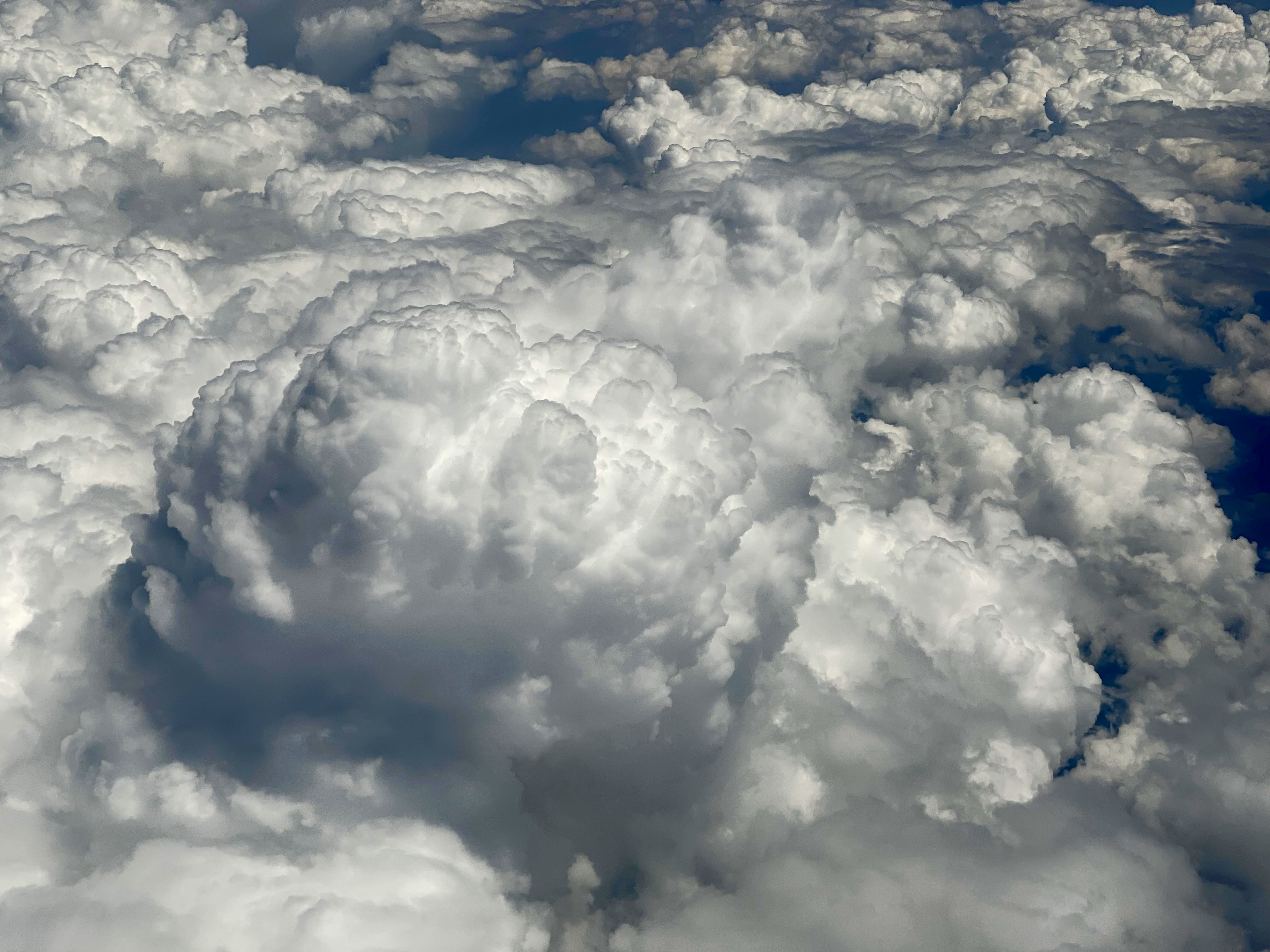 U.S. National Forecast Analysis